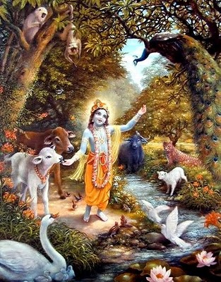Gatha Chandah Stava, Sri Krishna
